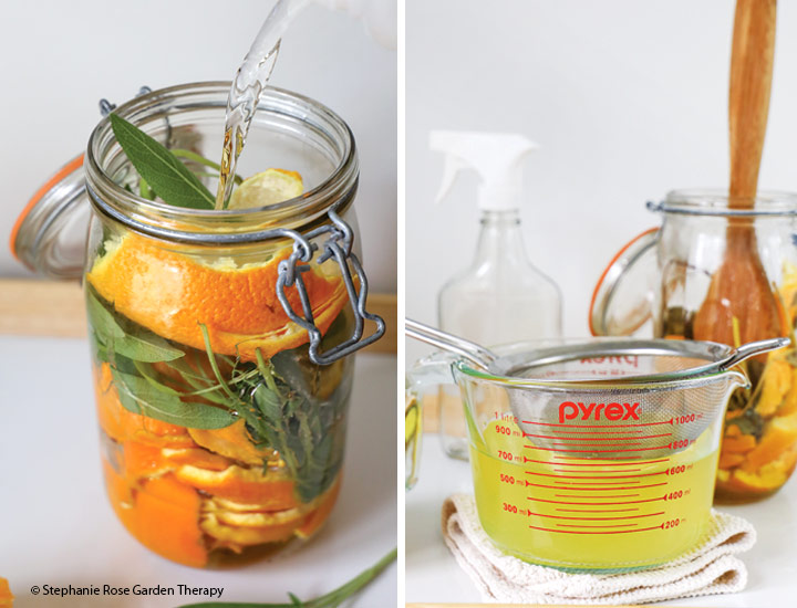 Přírodní čisticí koncentrát pro domácnost Stephanie Rose Šalvěj a pomeranč: Po týdenním namáčení šalvěje a pomerančové kůry lze ocet scedit.  Výsledkem je silný čisticí koncentrát.