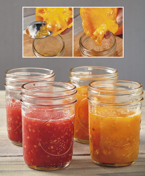 vt-seed-fermentation-2: Rajčatový gel, který obsahuje semena, můžete vydlabat lžičkou nebo polovinu rajčat jednoduše vymáčknout, abyste vytlačili dužinu.