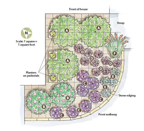 Akvarel ilustrace plánu výsadby zahrady: Ilustrace Carlie Hamilton