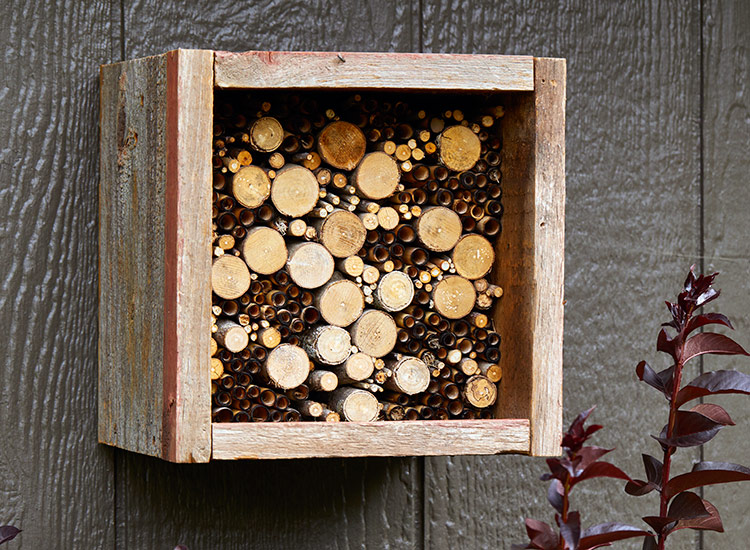 DIY včelí domek zavěšený na vnější stěně kůlny: Tento včelí domek je vyroben z recyklovaného páleného dřeva, kartonových trubek, rákosu a tyčinek.