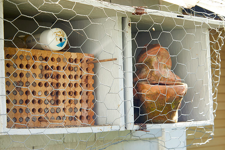 Chraňte svůj včelí domek před ptáky pomocí slepičího drátu: Kuřecí drát umístěný pár palců od včelího boxu zabraňuje ptákům svačit larvu.