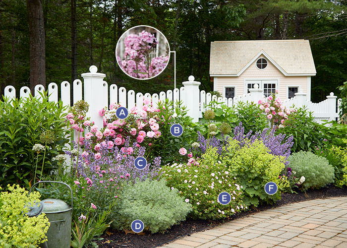 Paleta zahradních rostlin Clark cottage: Přední stranu okrajů vyplňují hromadící se trvalky jako kočičí máta.  Udržujte ji znovu kvetoucí celé léto tím, že ji ostříháte zpět po každém splachování květů.