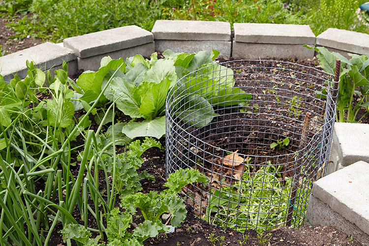 Zahradní záhon a kompostový koš: Půda se během vegetačního období usadí a můžete přidat další poté, co zahradu uklidíte na podzim nebo brzy na jaře před výsadbou.