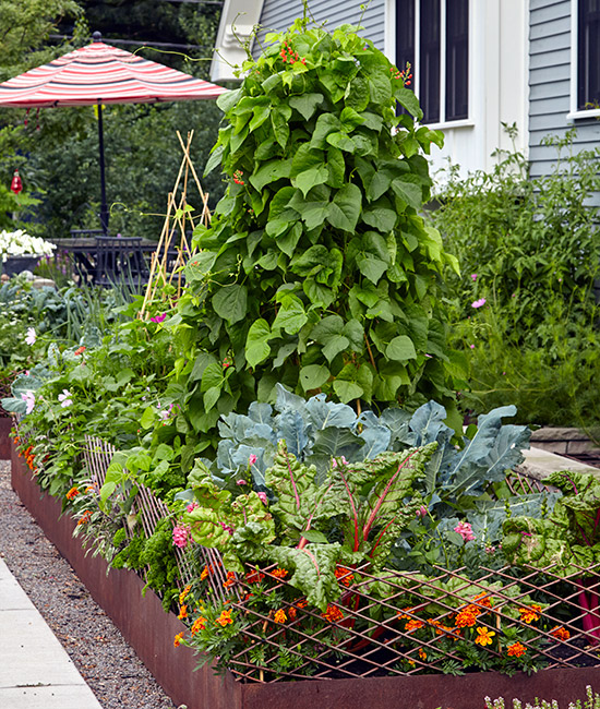 vertikální zahradnictví v městské zahradě