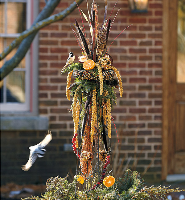 Obelisk na krmení ptáků na podzim: Nabízejte různé druhy potravy, jako jsou tyto různé semínky a plody, které osloví širokou škálu ptáků.  To vám poskytne nejlepší show a ptáci si mohou vybrat zdroje energie.
