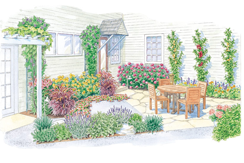 Patio Garden Design Ilustrace: Ilustrace Carlie Hamilton