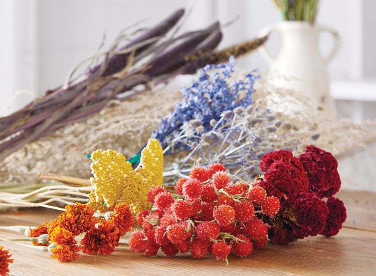 Svazky barevných sušených květin: Sušené květiny jsou k dispozici v mnoha barevných variantách!