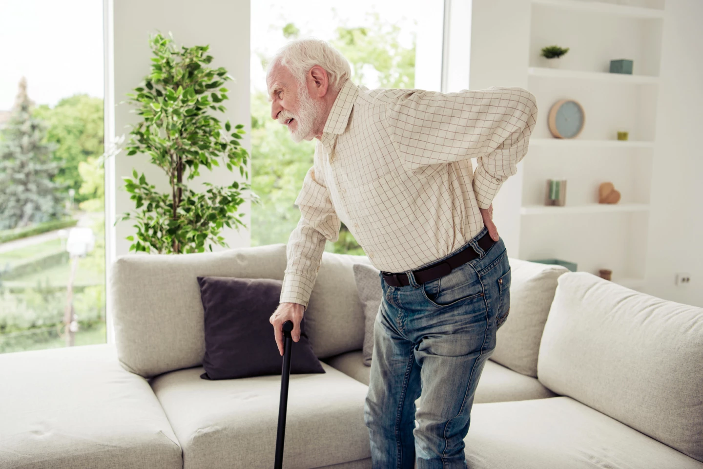 Zjištění studie by mohla vést k nové třídě léčby osteoporózy