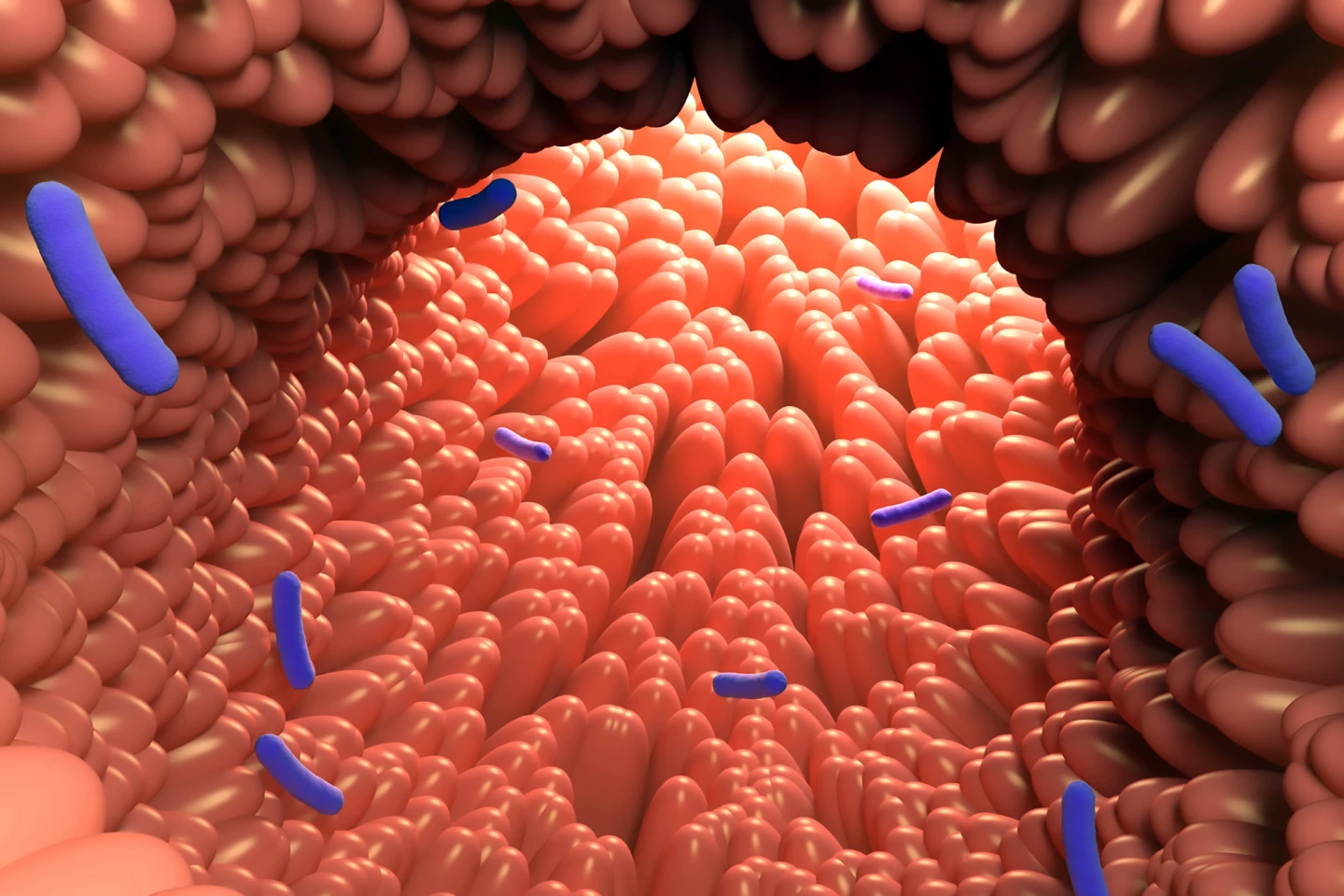 Zjištění naznačují léčbu bez drog, která zahrnuje podporu růstu střevních bakterií metabolizujících tryptofan