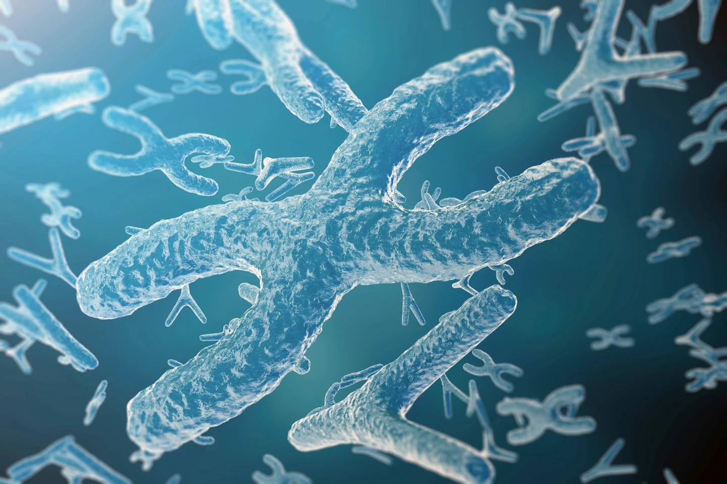 THC byla spojena s nesprávným počtem embryonálních chromozomů